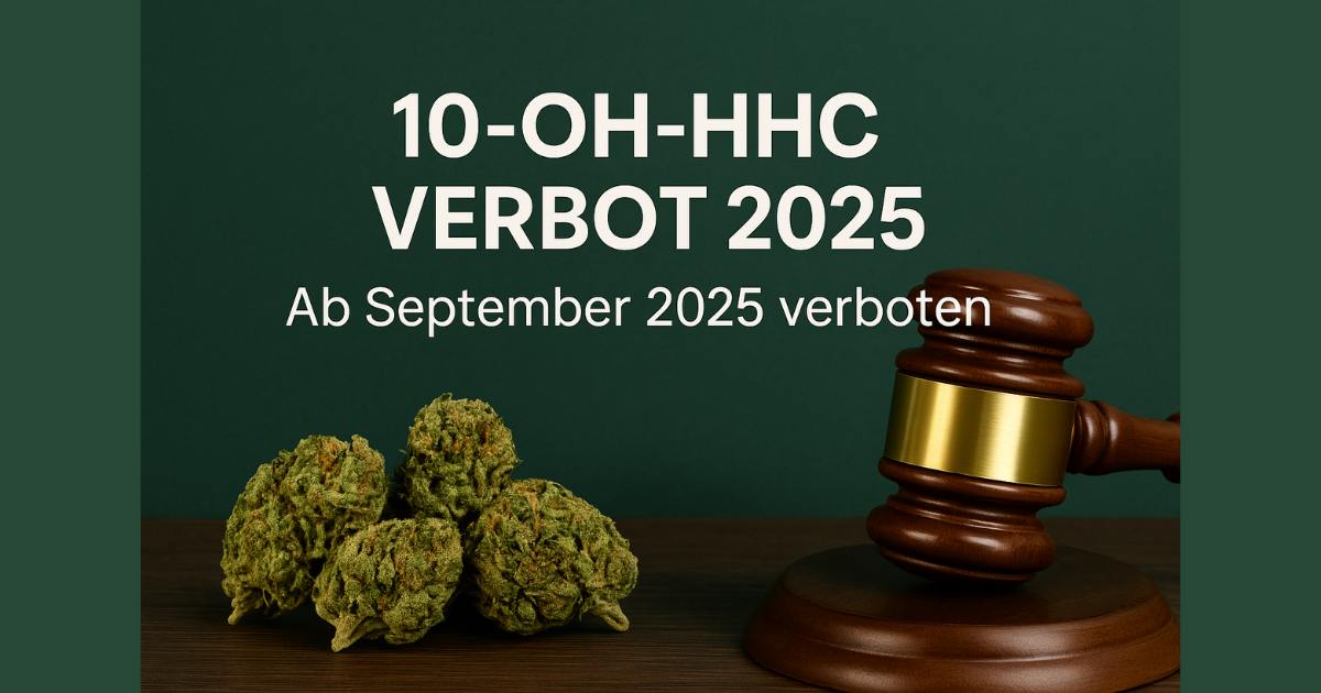 Ist HHC noch legal? Verbot, 10-OH-HHC und Alternativen HHC Verbot in Deutschland, Zeitleiste der Cannabinoid-Verbote und legale Alternativen, erklärt von CBD040.