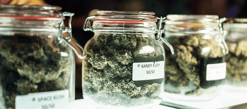 Behälter mit THC Cannabis zur geplanten Cannabis Legalisierung 2024 in Deutschland