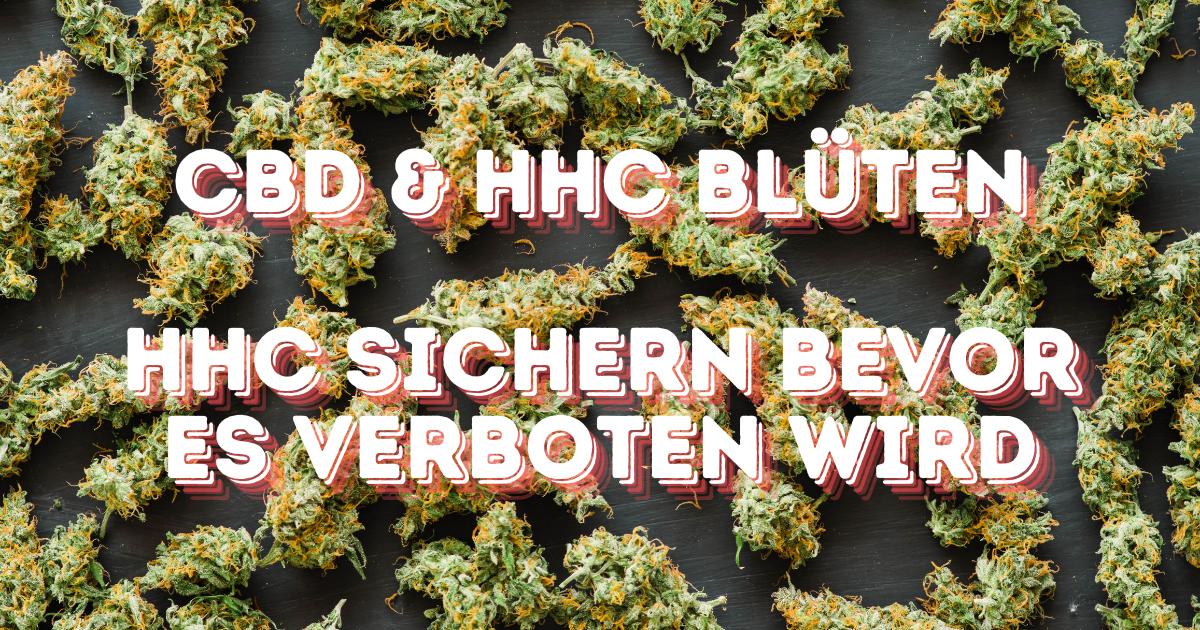 Aktuelles HHC Verbot 2024: Bleibt HHC legal bis zum 14.06.2024? - Update Oktober 2024 Nachfolger erhältlich Cannabis Blüten CBD und HHC im Hintergrund