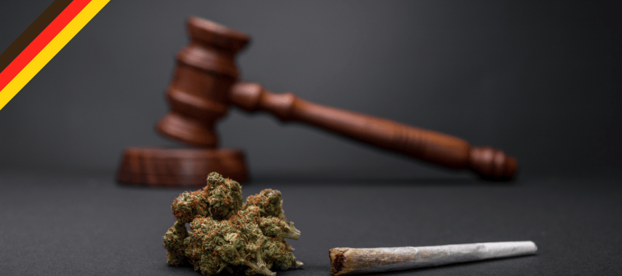 CBD und Nutzhanf legal in 2024 jetzt kaufen bei CBD 040 CBD Blüten legal in Deutschland