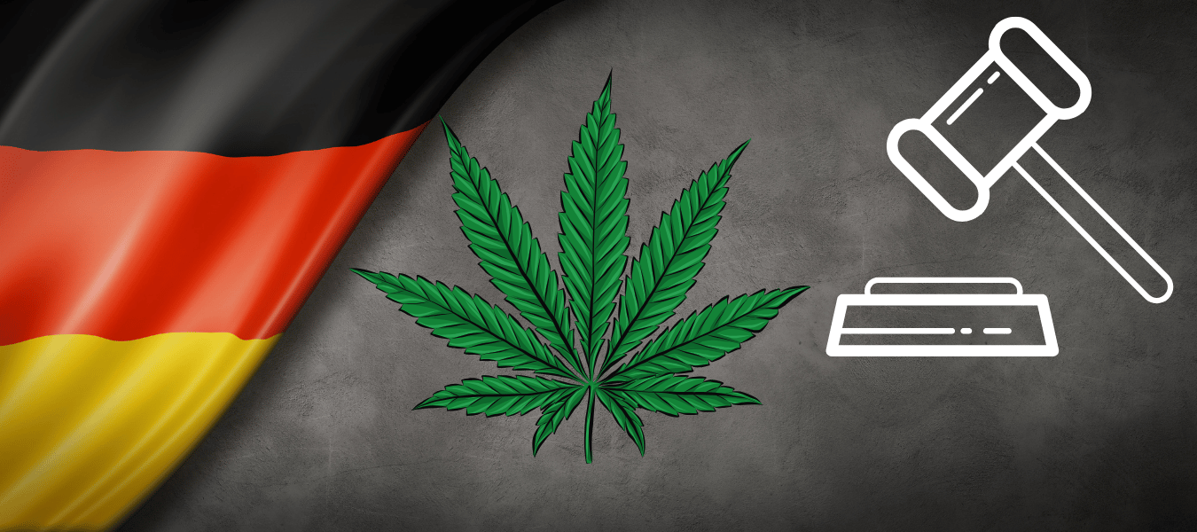 OFFIZIELL: CDU kippt Cannabis-Legalisierung – Ab Juni 2025 wieder verboten! Cannabis Legalisierung in Deutschland wird aufgehoben 2025