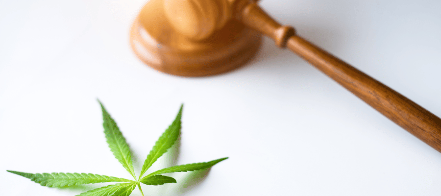 Auswirkungen der Bundestagswahl 2025 auf die Cannabis-Legalisierung in Deutschland Cannabis Bundestagswahl 2025 und die Auswirkungen