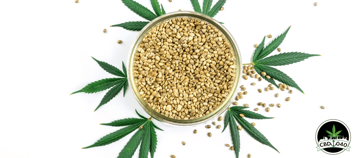 Cannabis Samen kaufen bei CBD 040 aus Hamburg Mit Klarna und PayPal Cannabis Legalisierung Deutschland