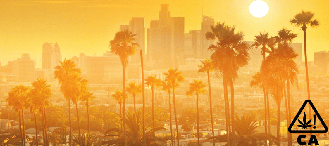 Cannabissamen bestellen Cali Weed kaufen aus Deutschland bestellen