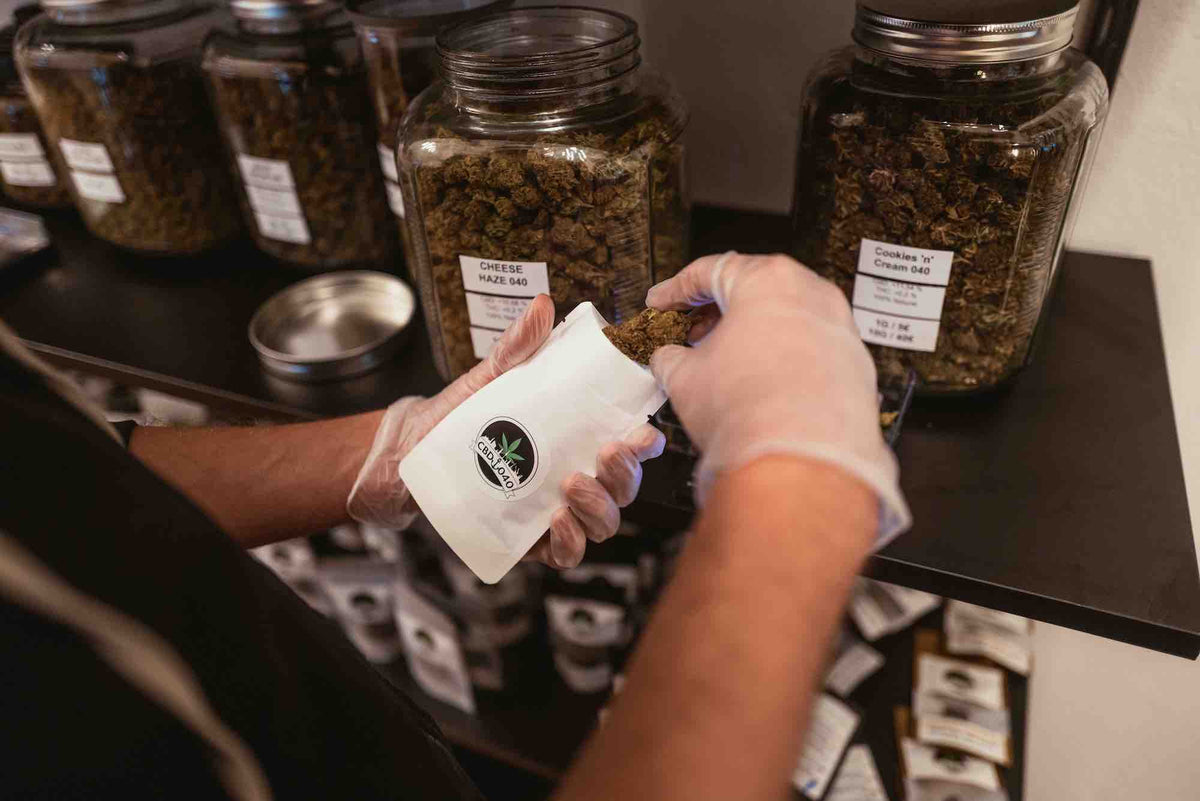 Entdecken Sie die Vielfalt der CBD Blüten und HHC Blüten bei CBD040 Person in Handschuhen füllt CBD Blüten aus einem Behälter in einen Standbodenbeutel, hochwertige CBD Produkte von CBD040.