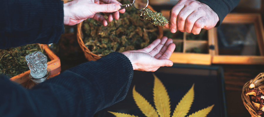 Cannabis Social Club Werbung: Ihre Chance mit CBD 040 Mann begutachtet eine Cannabis Blüte mit einer Lupe Cannabis Social Club