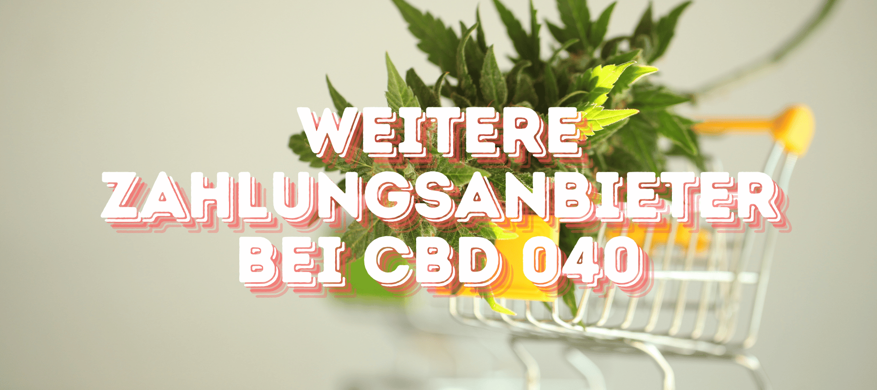 Einführung: Neue Zahlungsmöglichkeiten bei CBD 040 Ein Einkaufkorb wo eine Cannabispflanze drinne ist und da steht Weitere Zahlungsanbieter bei CBD 040 und es hat einen hellen Hintergrund