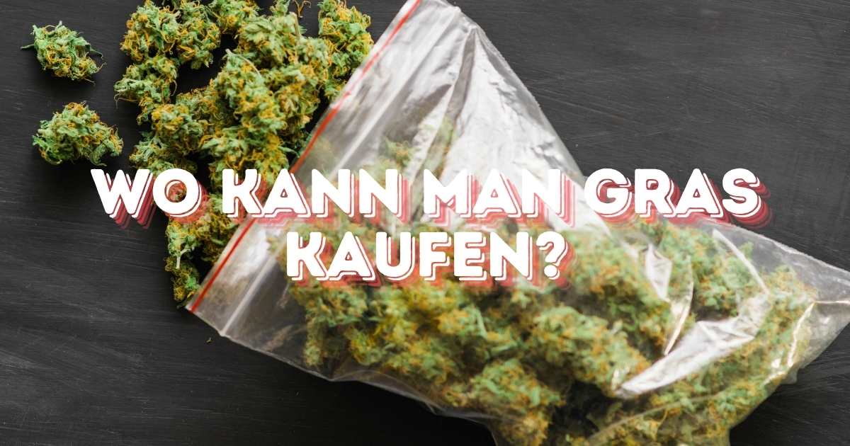 Cannabis seit 1. April 2024 legal - Wo kann man es eigentlich kaufen? Hintergrund ist ein Beutel mit Cannabis Blüten und vorne ist in roter Schrift Wo kann man Gras kaufen