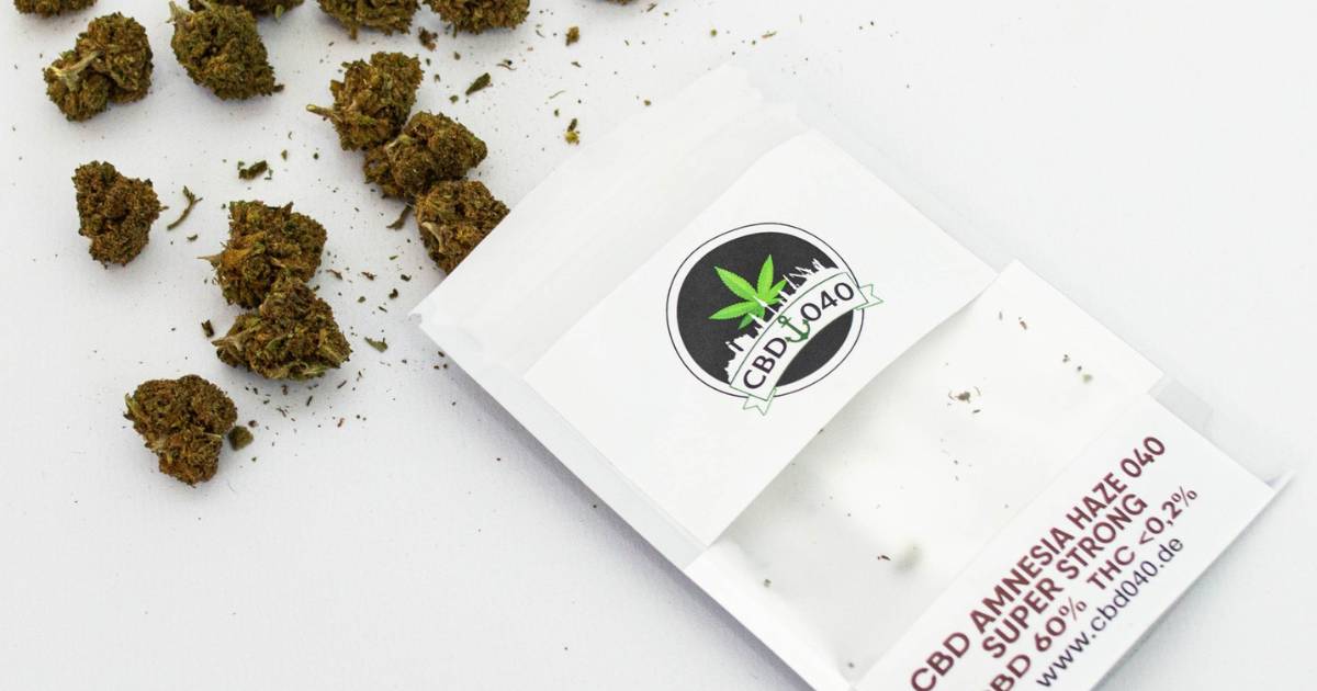 CBD Blüten Amnesia Haze Extra Strong Amnesia Haze Extra Strong CBD Blüten kaufen in Deutschland bei CBD040