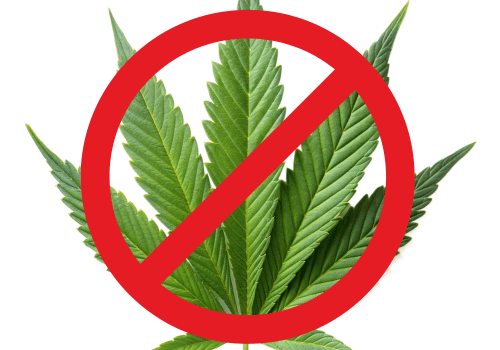 Cannabis bleibt legal – CDU & SPD stoppen Verbot vorerst Cannabis Gesetz Deutschland 2025 – Teillegalisierung bleibt bestehen, neue Bewertung im Herbst geplant