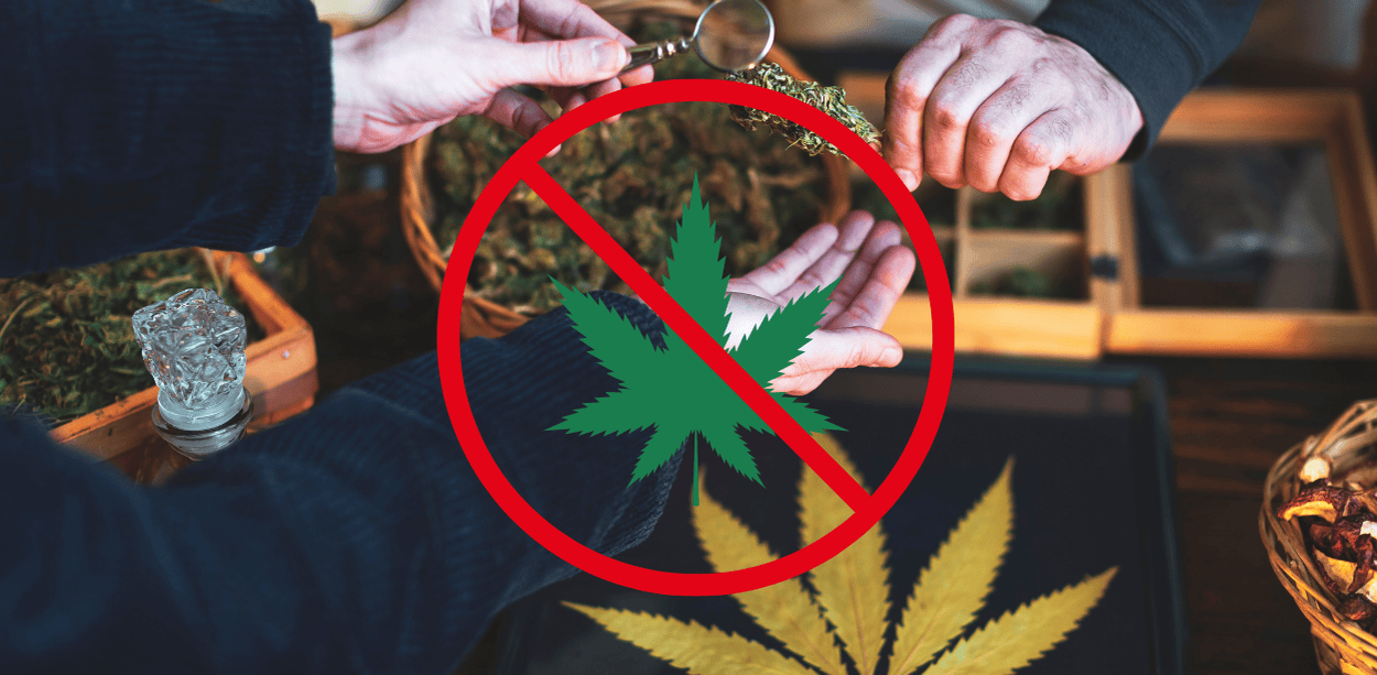 Cannabis Legalisierung in Gefahr: CDU plant Verbot von Cannabis, Cannabissamen und CBD – Jetzt informieren und sichern.