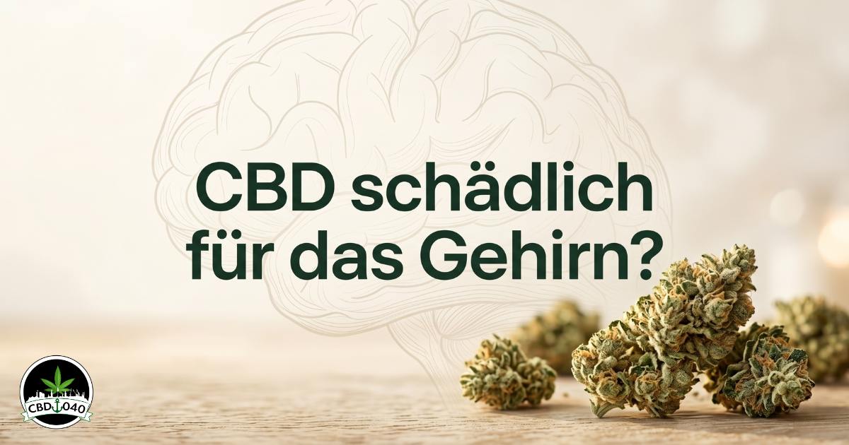 CBD schädlich für das Gehirn? Was du über CBD, THC, Wirkung und mögliche Risiken wissen solltest Ein elegantes, wissenschaftlich-aufklärendes Blog-Titelbild mit einer dezenten Liniengrafik eines menschlichen Gehirns im Hintergrund, premium CBD Blüten im Vordergrund und dem klaren Text „CBD schädlich für das Gehirn?“.