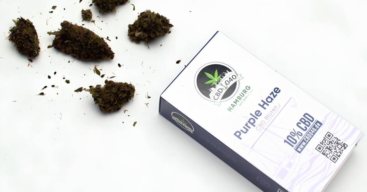 Purple Haze CBD Blüten kaufen – Extra Strong & Klassiker jetzt entdecken Purple Haze CBD Blüten und Cannabissamen