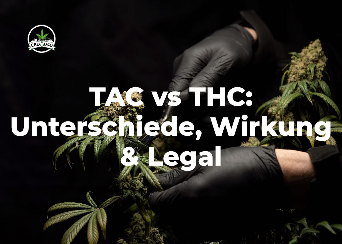 TAC vs THC: Unterschiede, Wirkung & Legalität 2026 TAC vs THC im Vergleich: Unterschiede bei Wirkung, Legalität und Drogentest – erklärt von CBD040.