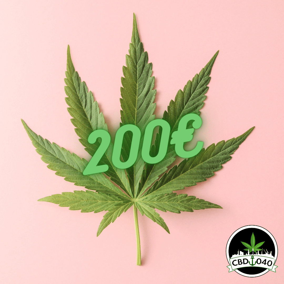 Geschenkgutschein CBD 040 – Das perfekte Geschenk für jeden Anlass Geschenkgutschein CBD 040 – Das perfekte Geschenk für jeden Anlass