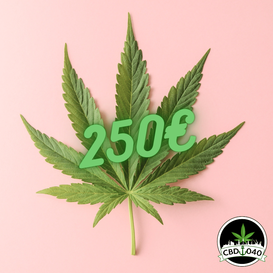 Geschenkgutschein CBD 040 – Das perfekte Geschenk für jeden Anlass Geschenkgutschein CBD 040 – Das perfekte Geschenk für jeden Anlass