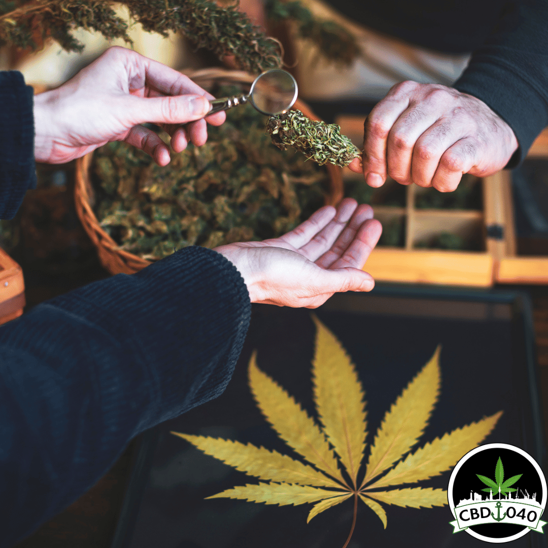 CSC Mitgliedschaft Hamburg – Nature 040 CSC Mitgliedschaft Hamburg – Nature 040