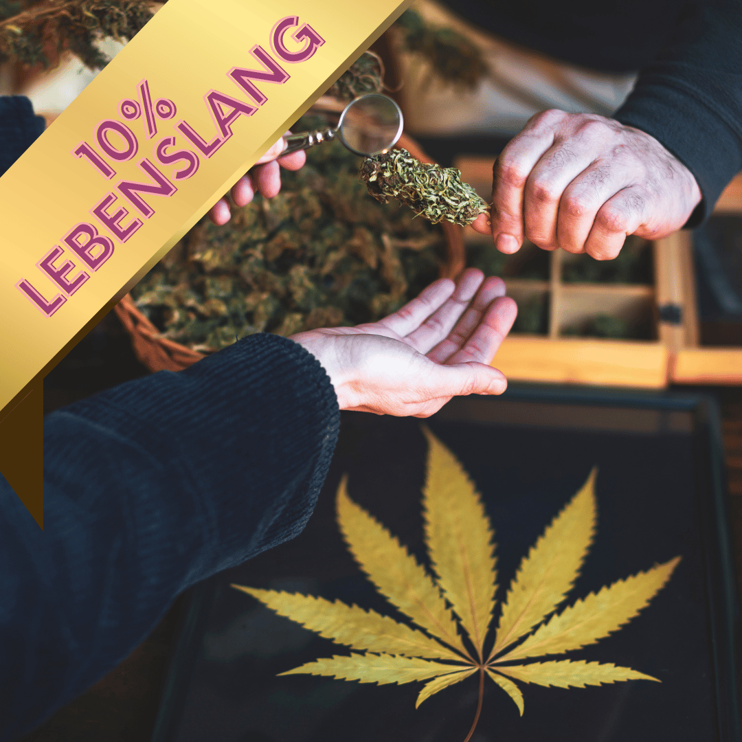 CSC Mitgliedschaft Hamburg – Nature 040 CSC Mitgliedschaft Hamburg – Nature 040