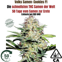 Cookies F1 Cali Weed THC Samen – 50 Tage – Autoflower – Die schnellsten Cannabis Samen der Welt