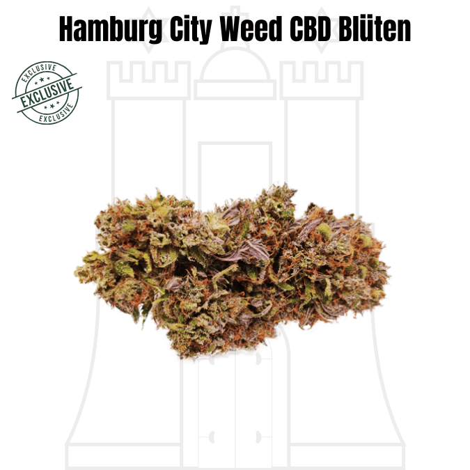 Hamburg City Weed die besten Cannabis CBD Blüten der Welt, jetzt kaufen bei CBD 040 Hamburg City Weed CBD Blüten kaufen