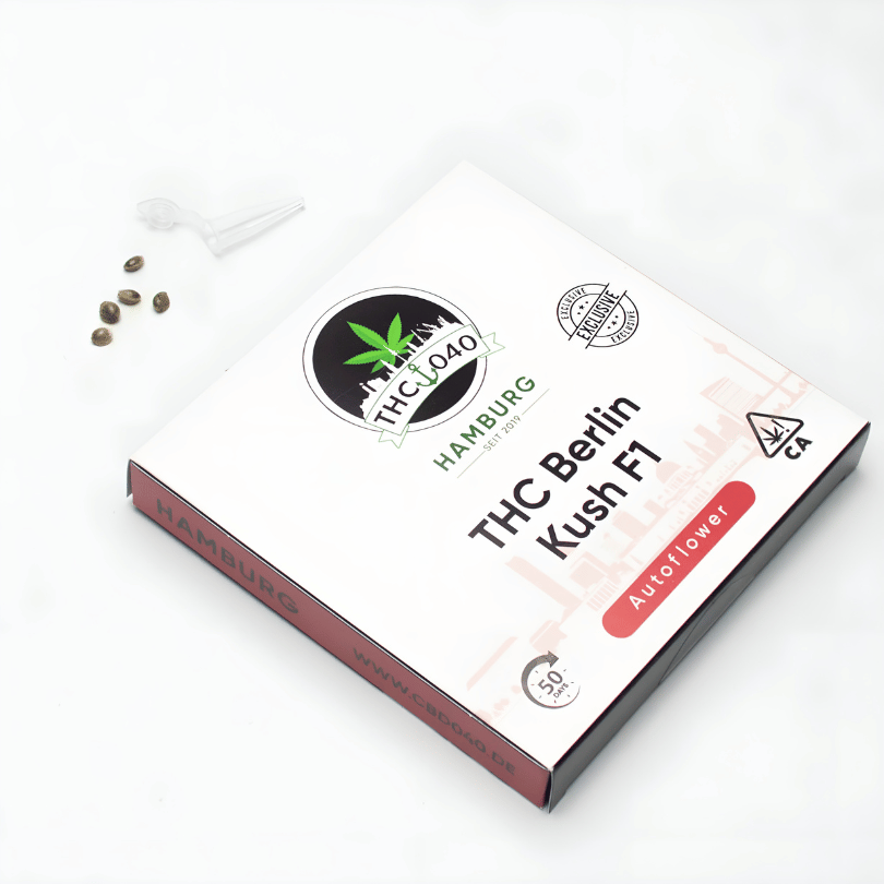 Berlin Kush THC Cannabis Samen die schnellsten der Welt Cannabis Samen Berlin Kush die schnellsten THC Cannabis Samen auf den Markt jetzt kaufen bei CBD 040, ideal für den Cannabis Eigenanbau in Deutschland. Nur 50 Tage von Keimung bis Ernte.