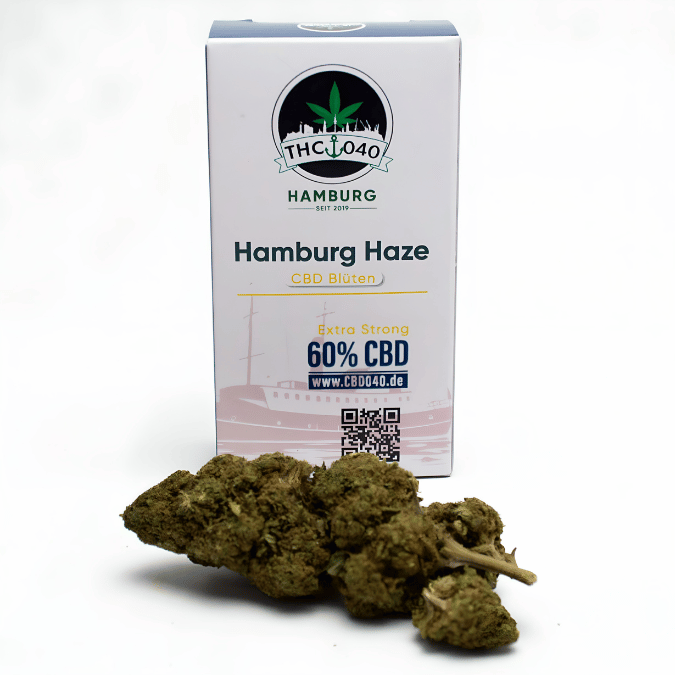 Hamburg Haze – CBD Blüten mit der Frische des Nordens Hamburg Haze – CBD Blüten mit der Frische des Nordens