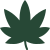 Blüten