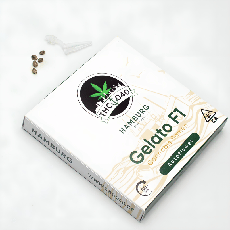 Cannabis Samen Gelato F1 die schnellsten THC Cannabis Samen auf den Markt jetzt kaufen bei CBD 040, ideal für den Cannabis Eigenanbau in Deutschland. Nur 50 Tage von Keimung bis Ernte. Cannabis Samen Gelato F1 die schnellsten THC Cannabis Samen auf den Markt jetzt kaufen bei CBD 040, ideal für den Cannabis Eigenanbau in Deutschland.