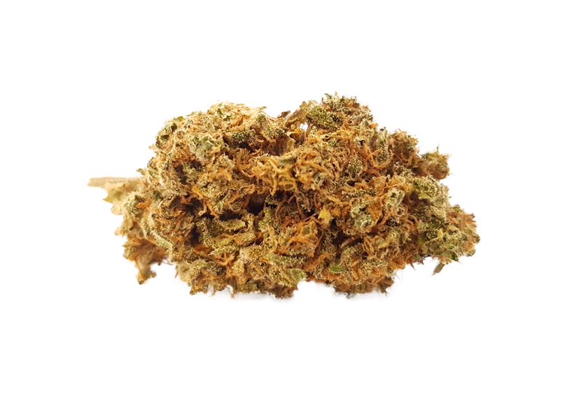 Cheese Haze CBD Blüten Indoor Cheese Haze CBD Blüten Indoor