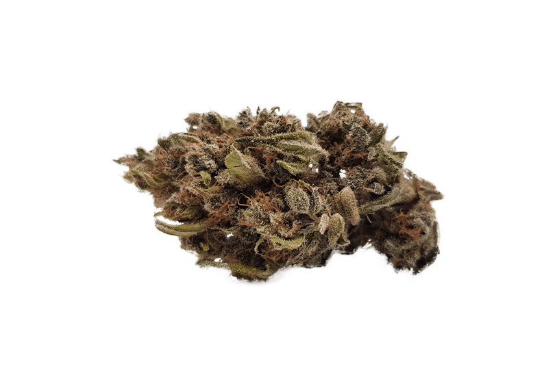 CBD Blüten Caramel mit weißem Hintergrund 1 CBD Choco 040 | CBD Blüten -CBD Kaufen in Hambur | CBD Blüten 100% Natural | CBD Buds | CBD 040