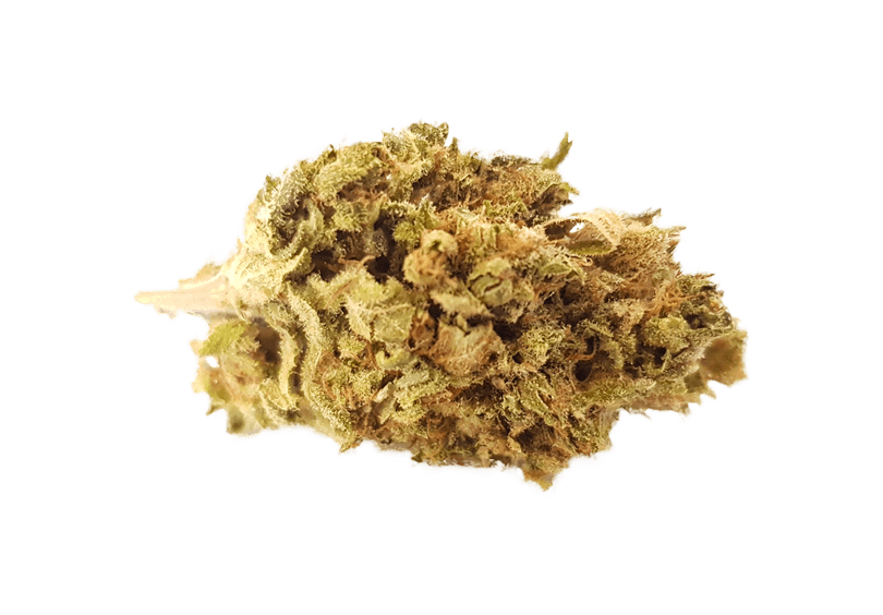 Mango Haze CBD Blüten Indoor Mango Haze CBD Blüten Indoor