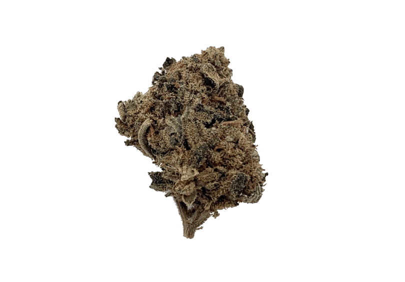 CBD Blüten Creative Energy im Glas | Premium CBD Blüten CBD Blüten Creative Energy im Glas | Premium CBD Blüten