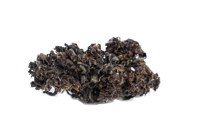 Purple Haze CBD Blüten - Greenhouse Purple Haze CBD Blüten - Greenhouse