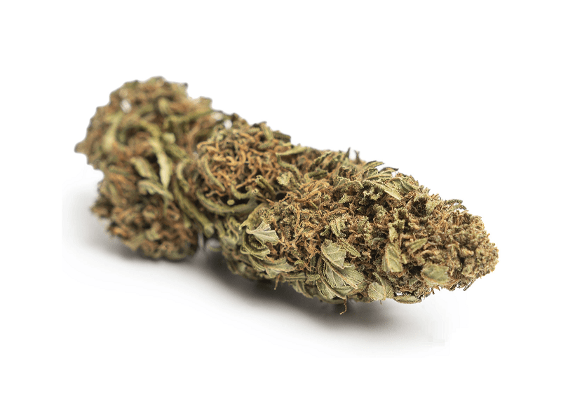 White Widow CBD Blüten Indoor White Widow CBD Blüten Indoor