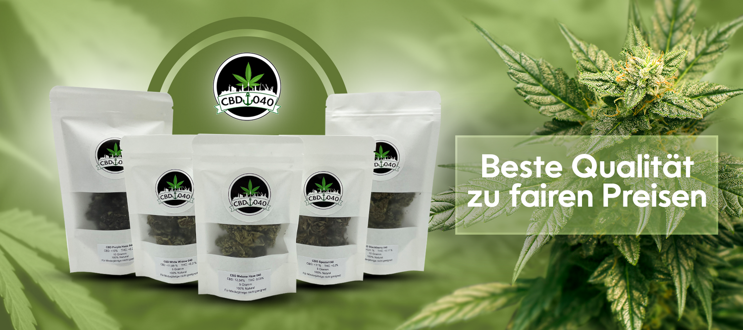 Revolution im Online-Kauf von CBD, HHC und THCP: cbd040.de bietet exklusive Zahlungsmöglichkeiten mit PayPal und Klarna