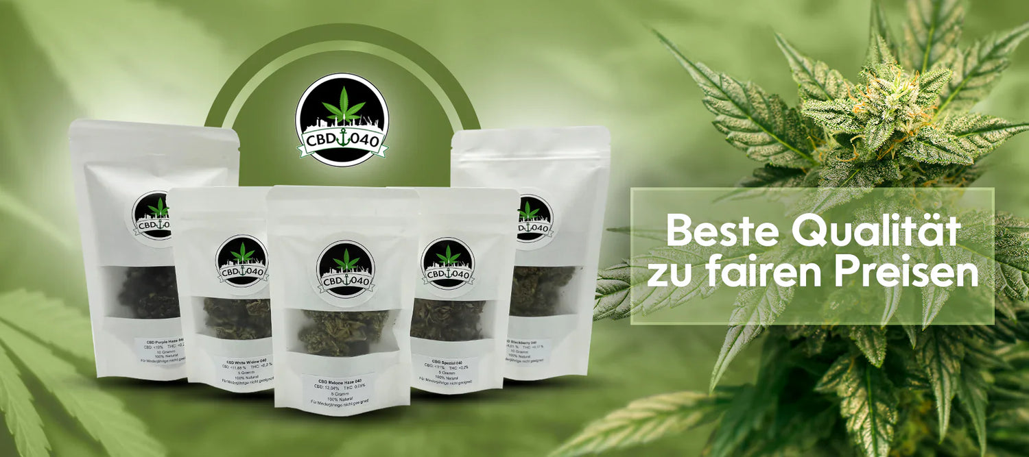 CBD 040 Banner CBD Blüten und HHC Blüten kaufen legal