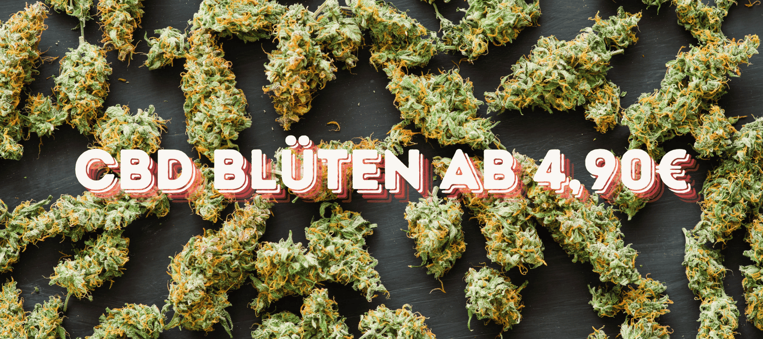 Hintergrund sind CBD bzw Cannabis Blüten und vorne ist ein Banner in roter Schrift wo steht CBD Blüten ab 4,90 euro