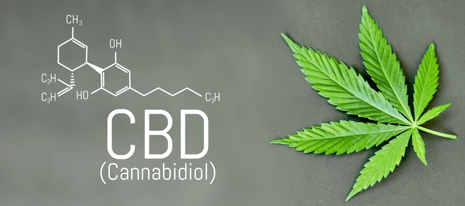 Ein Hanfblatt wo daneben steht CBD