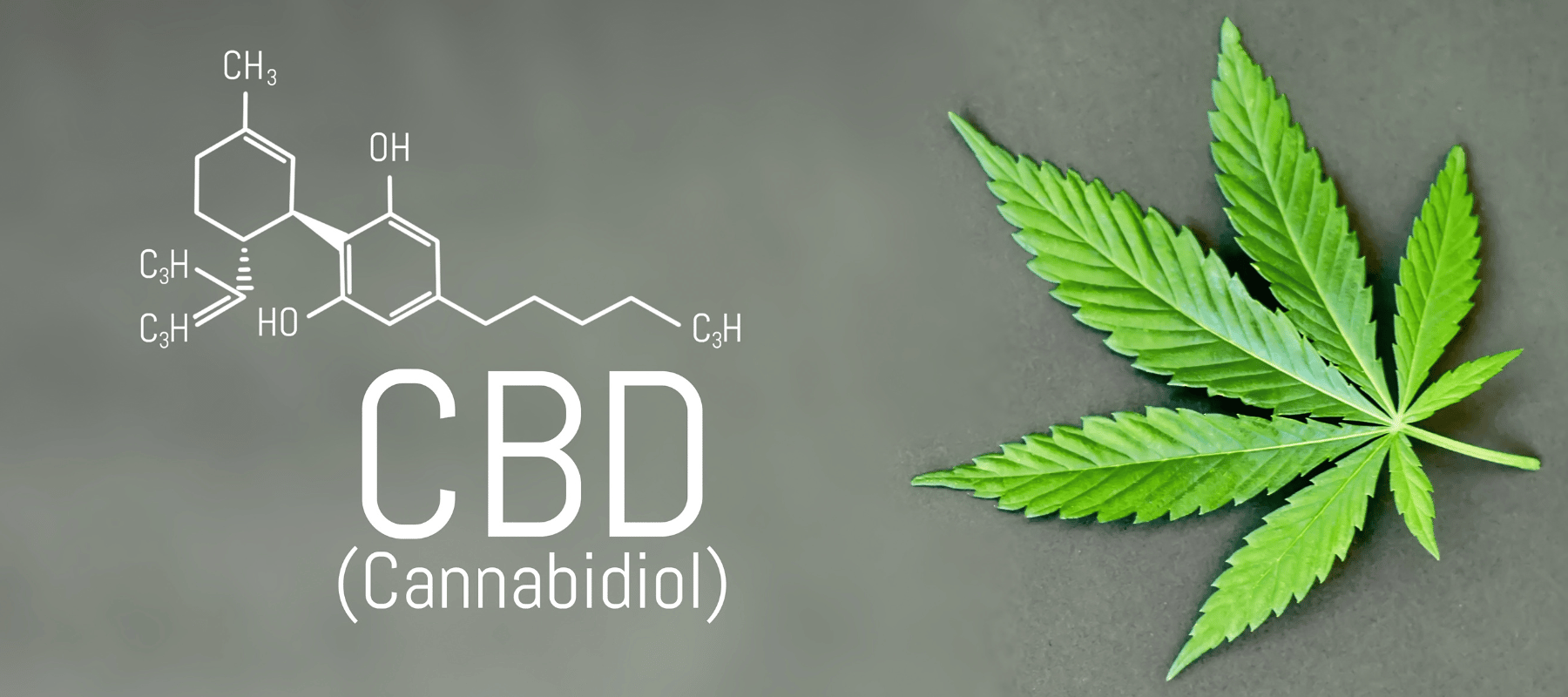 Ein Hanfblatt wo daneben steht CBD