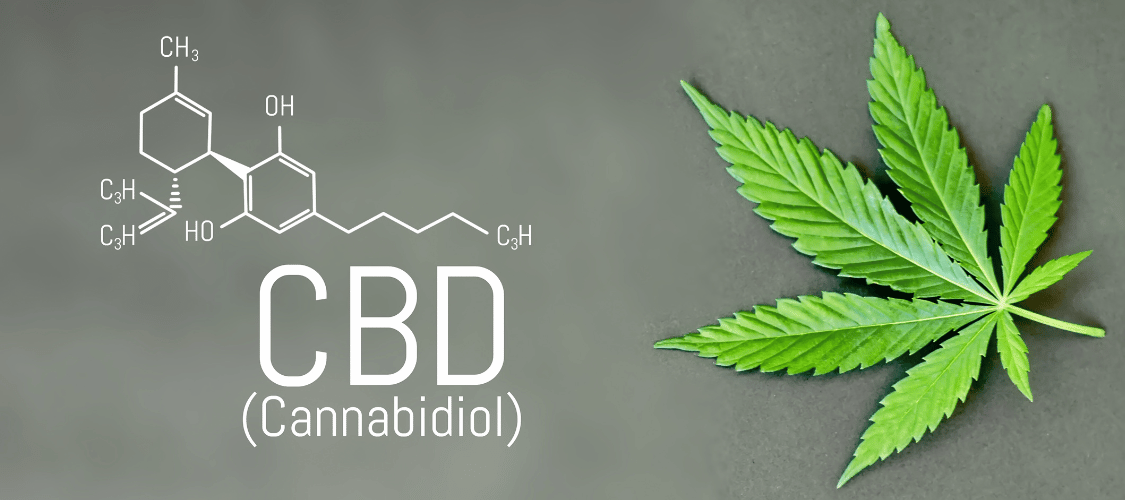 CBD Blüten kaufen: Ihr Premium-Anbieter CBD040