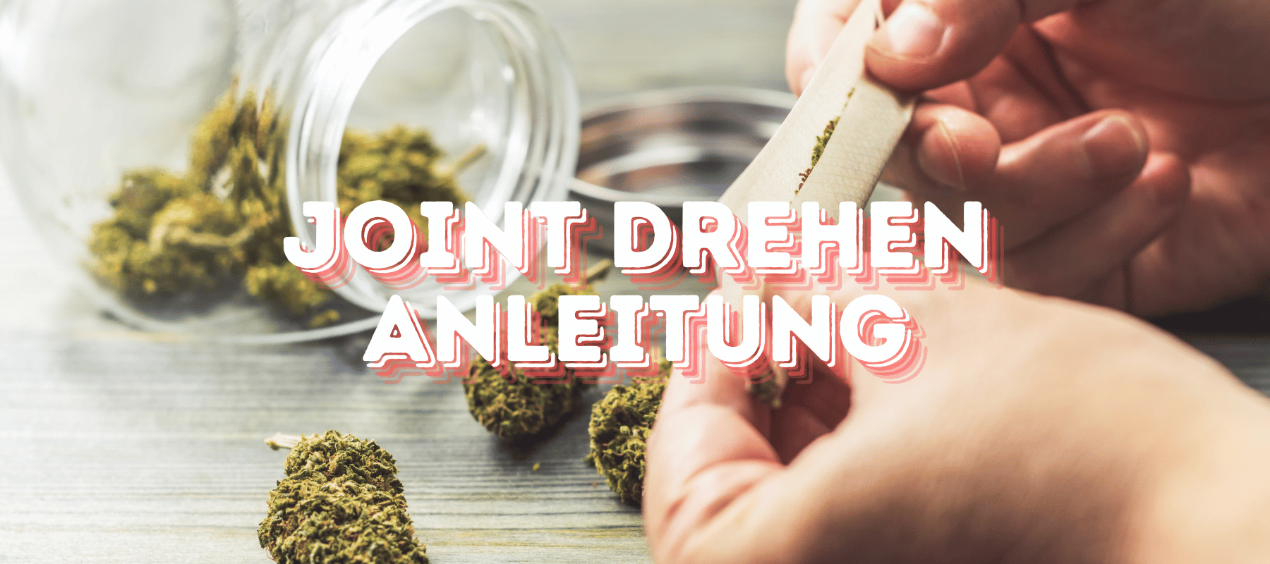 Jemand dreht ein Cannabis Joint mit Cannabis Blüten im Hintergrund der Hintergrund ist auch Hell und vorne steht in roter Schrift Joint Drehen Anleitung