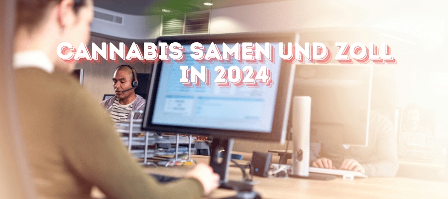 Cannabis Samen kaufen und bestellen in 2024 und Zoll