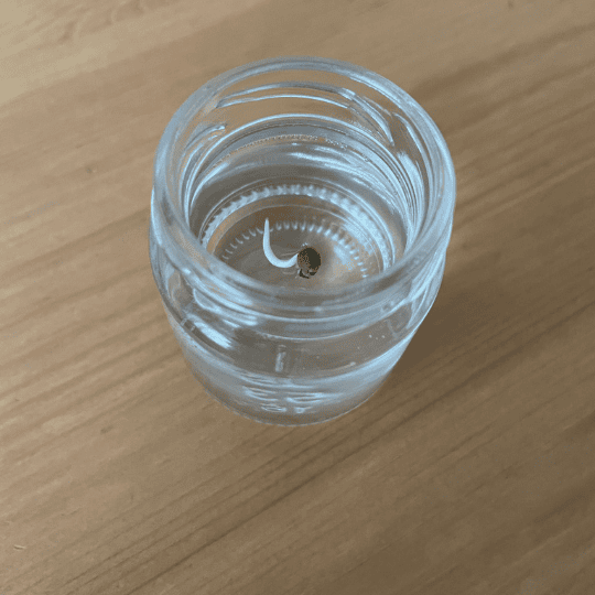 Cannabis Samen keimen lassen mit Wasser im Schnapsglas oder Teetasse mit 100 Prozent Erfolgsgarantie