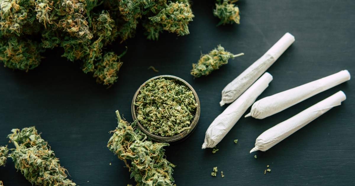Cannabis Blüten und Cannabis Joint
