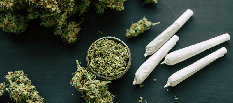 Cannabis Blüten und Cannabis Joint