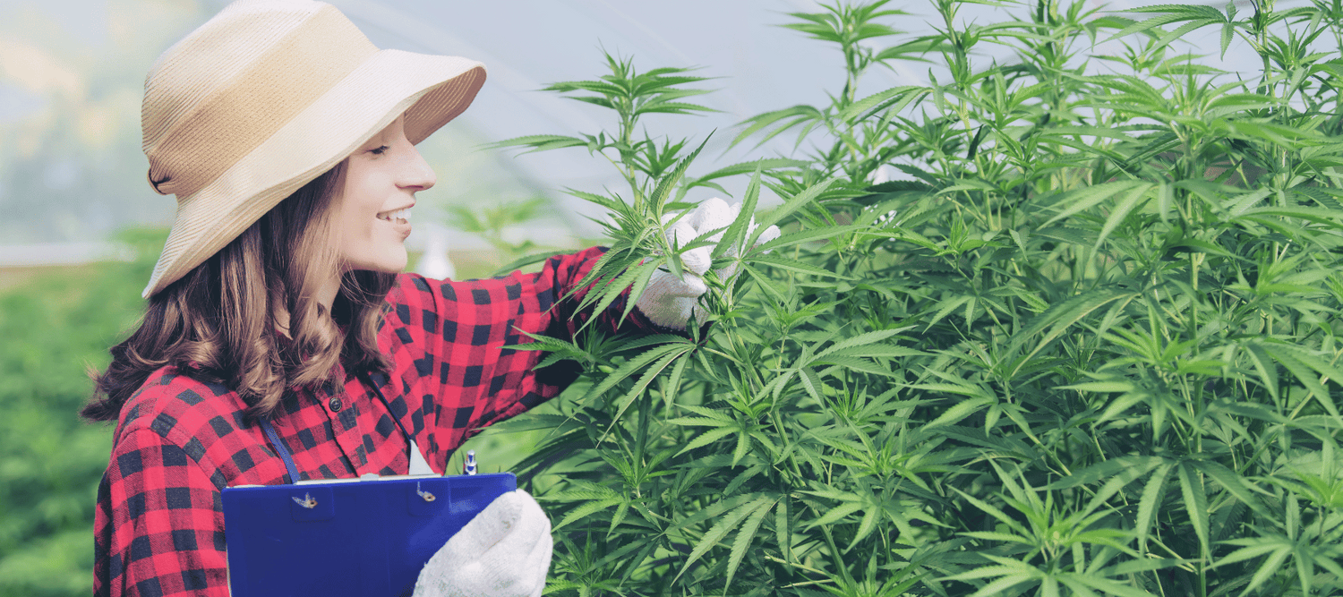 Frau mit Cannabis Pflanze für den Cannabis Social Club Hamburg von CBD 040 und THC 040