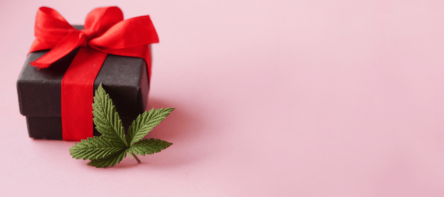 Rosa Hintergrund vorne ist eine Geschenkpackung mit einem Hanfblatt vorne