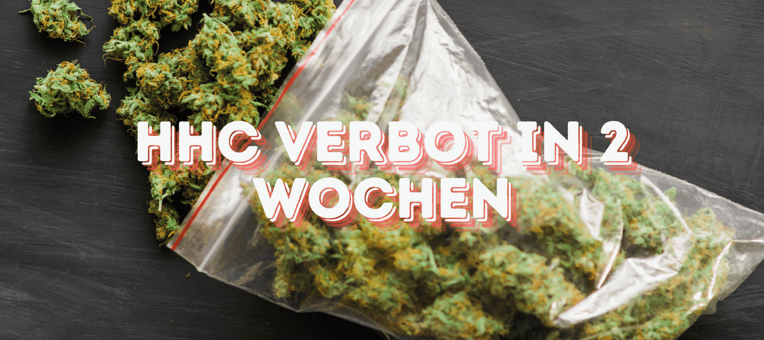 Beutel mit Cannabis Blüten im Hintergrund und vorne 