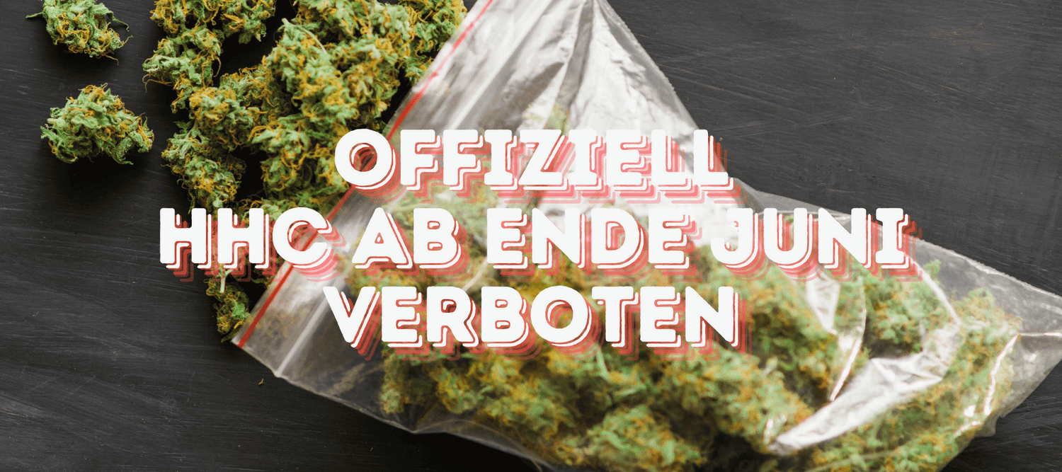 HHC Verbot Offiziell Juni 2024: Letzte Chance, Ihre Bestnde zu sichern! HHC Verbot Offiziell Juni 2024: Letzte Chance, Ihre Bestnde zu sichern!