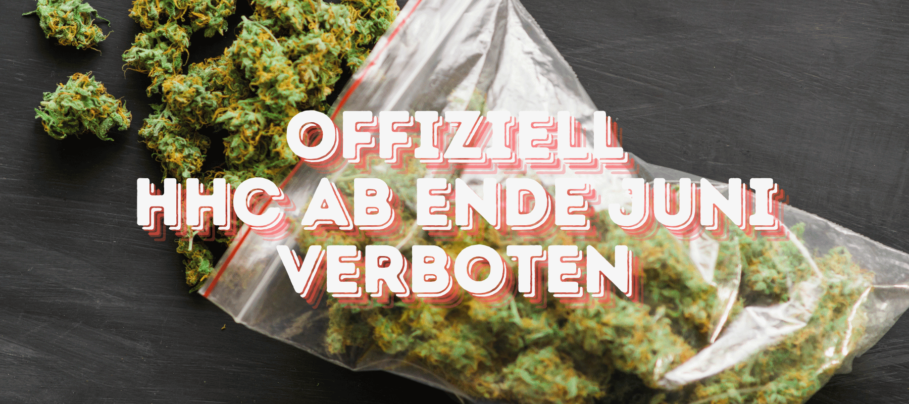 Cannabis Blüten im dunklem Hintergrund und vorne steht Offiziell HHC ab ende Juni Verboten